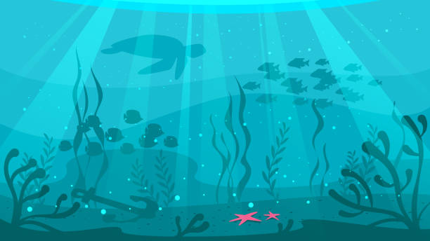 cartoon style underwater background Vector cartoon style underwater background with sea flora and fauna. Coral reef, sea plants and fishes silhouettes. underwater stock illustrations