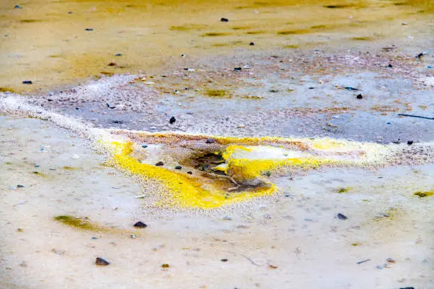 Photo of Waiotapu Geotermal Valley, Rotorua, New Zealand