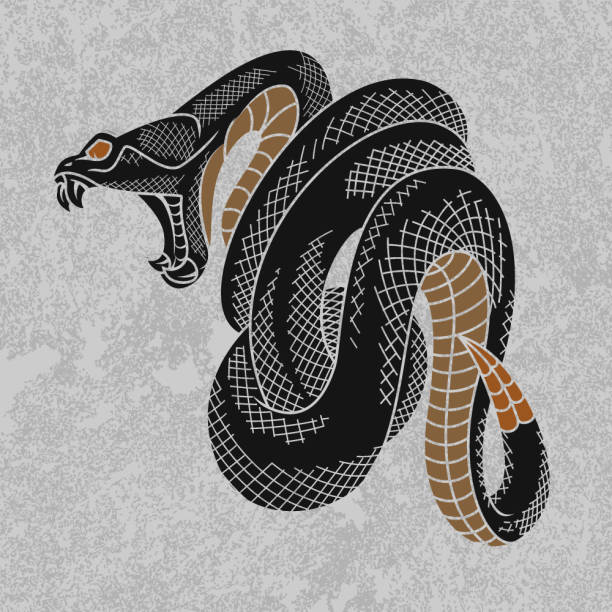 ilustrações de stock, clip art, desenhos animados e ícones de viper snake. - snake cobra cartoon rattlesnake