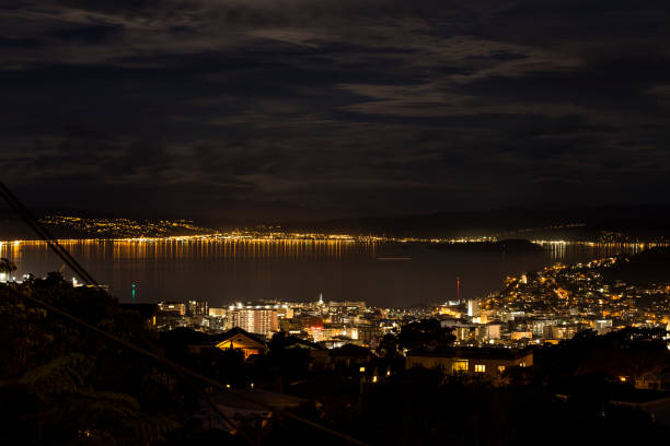 istock Wellington, New Zealand 958071392