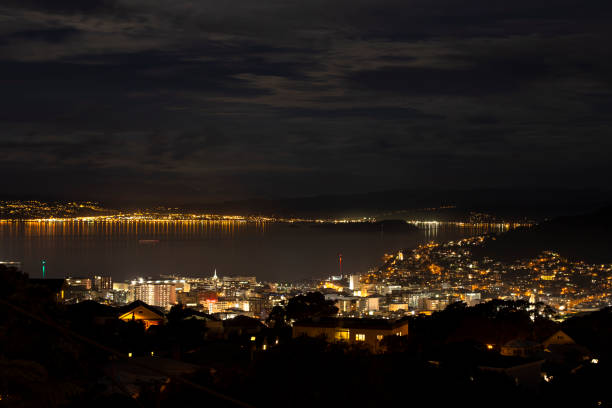 istock Wellington, New Zealand 958071432