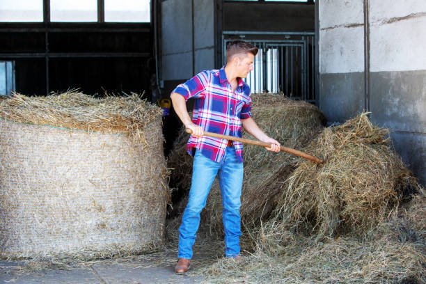 istock blond man at a barn holdiing pitchfork with hay 958081622