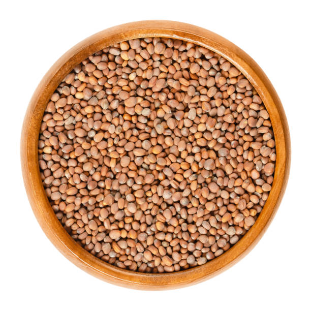 istock Daikon radish seeds in wooden bowl over white 958082626