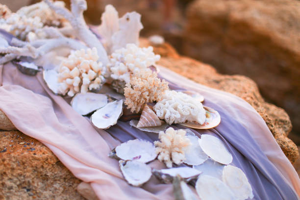 istock Decorated with seashells and corals violet tablecloth on stones 958082916