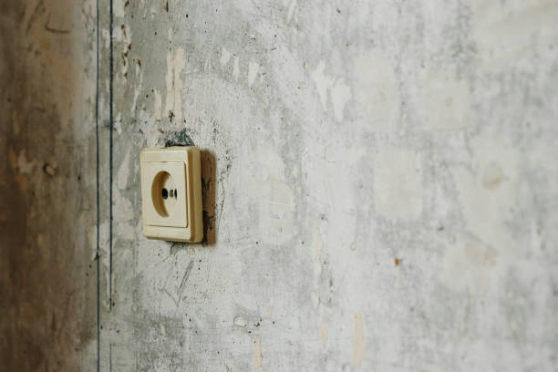 istock An old, yellow rosette on a gray concrete wall. Repairs 958083042