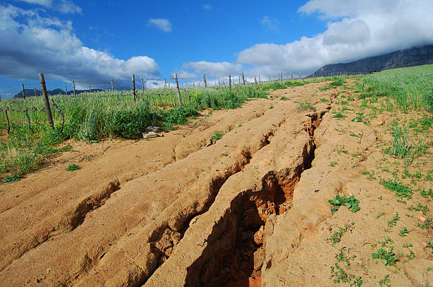 Soil erosion  eroded photos stock pictures, royalty-free photos & images