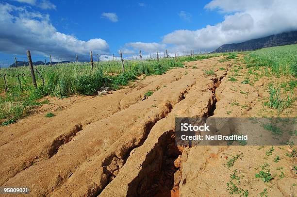 Soil Erosion Stock Photo - Download Image Now - Eroded, Dirt, Cape Town