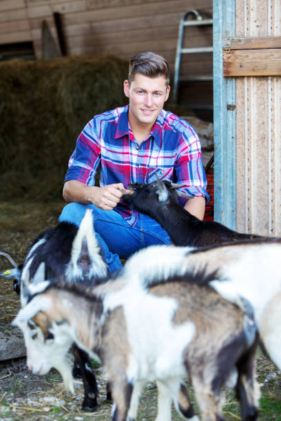 istock handsome blond man feeding goats at a farm 958090866
