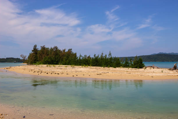 istock Calm colors of tropical island 958091346