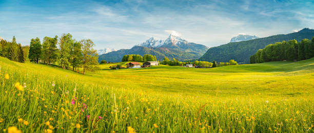 idylliczny krajobraz w alpach z kwitnącymi łąkami wiosną - switzerland lake beauty in nature nature zdjęcia i obrazy z banku zdjęć