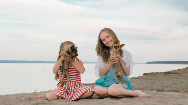 istock Two children playing which dogs on the sand on the beach. 958092664