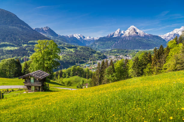 paisaje alpino con chalet tradicional de montaña en verano - shack european alps switzerland cabin fotografías e imágenes de stock