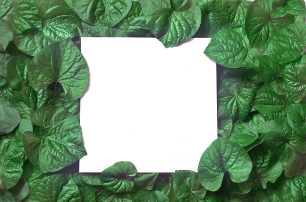 istock Creative layout made of leaves with paper card note. Flat lay. Nature concept 958095464
