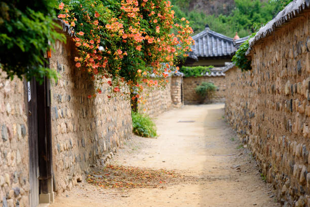 istock A flowered Korean folk street 958096480