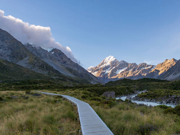 istock Boardwalk at Mount Cook National Park 958099896