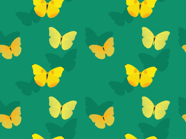 Butterfly Sulphur Cartoon Background Seamless Wallpaper Stock Illustration  - Download Image Now - iStock