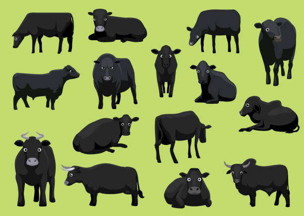 różne black cow bull cartoon vector ilustracja - beef cow cattle bull stock illustrations