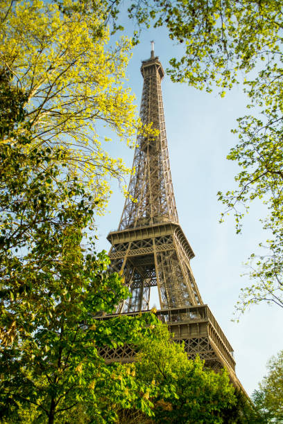 istock Eiffel Tower and City Trees 958105634