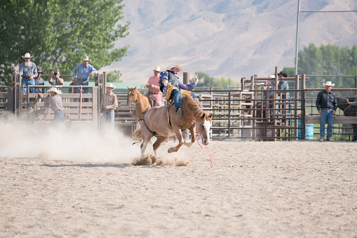 Rodeo event saddle bronc riding
