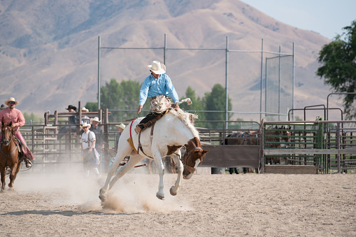 Rodeo event saddle bronc riding