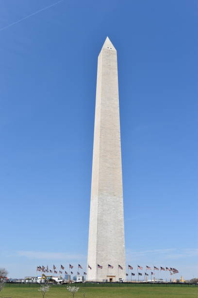 istock Famous Washington Monument in Washington D. C with beautiful trees with cherry blossoms in the USA 958112820