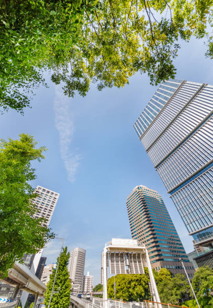 istock Fresh green and buildings in Tokyo 958118874