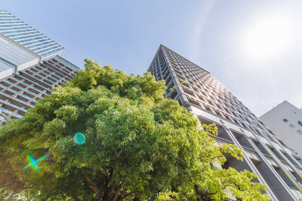 istock Fresh green and buildings in Tokyo 958118914
