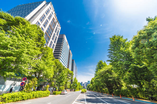 istock Fresh green and buildings in Tokyo 958118992
