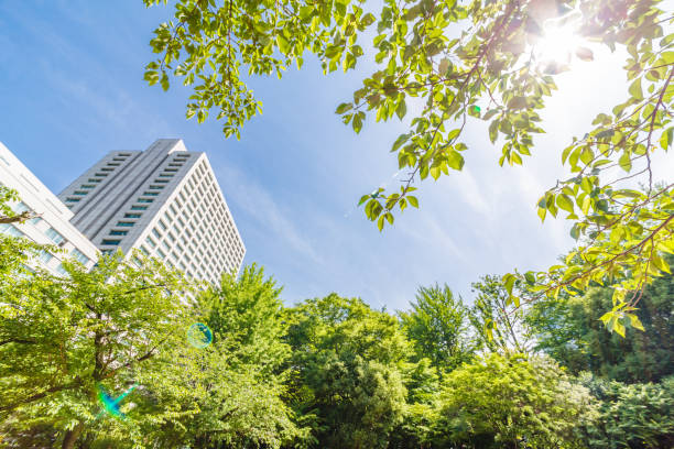 istock Fresh green and buildings in Tokyo 958119008