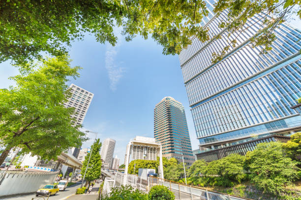 istock Fresh green and buildings in Tokyo 958119216