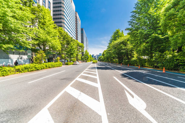 Fresh green and buildings in Tokyo