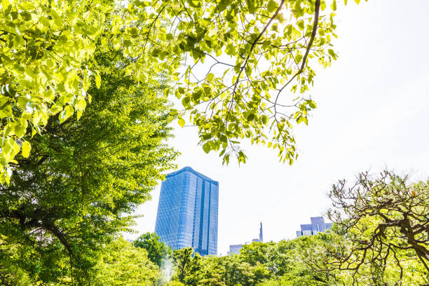 istock Fresh green and buildings in Tokyo 958119482