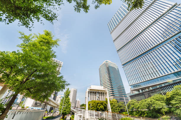 istock Fresh green and buildings in Tokyo 958119600