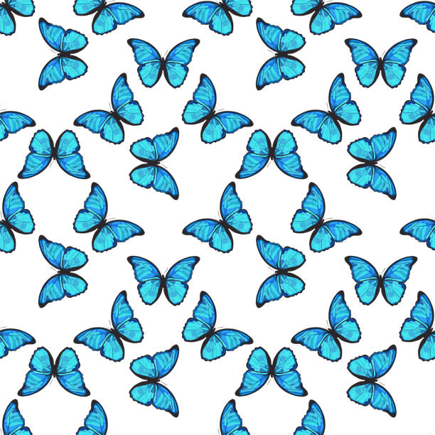 Free Butterfly Pattern Graph 170+ Butterfly Graphs Drawing Stock Photos, Pictures & Royalty-Free ...