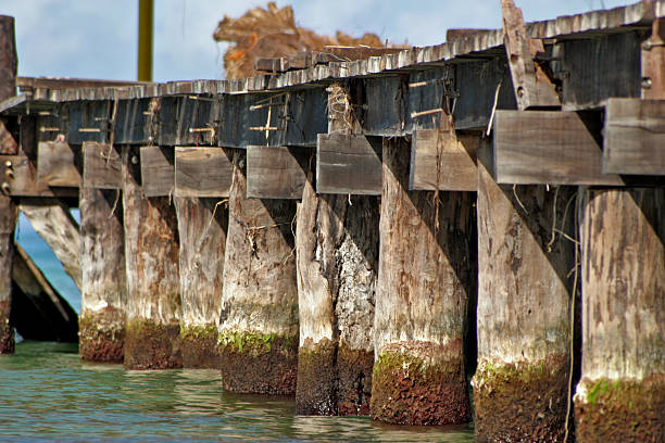 Ocean Dock at low tide  san miguel de cozumel stock pictures, royalty-free photos & images
