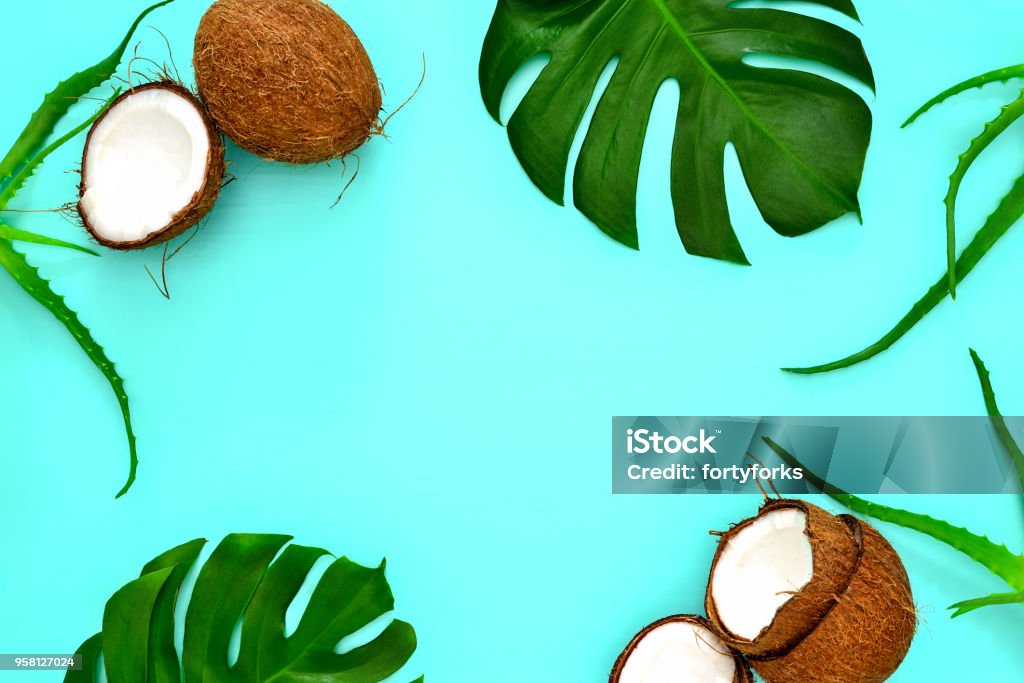 Summer tropical background Summer tropical background with a space for a text, flat lay, view from above Backgrounds Stock Photo