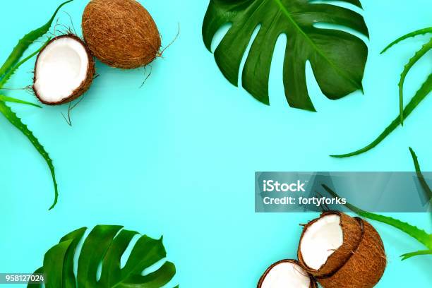 Summer Tropical Background Stock Photo - Download Image Now - Backgrounds, Coconut, Vacations