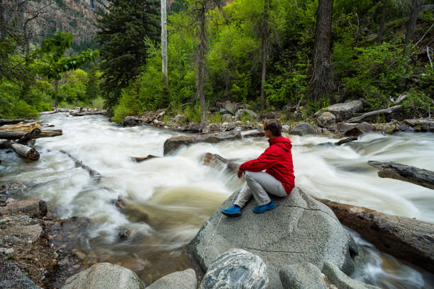 istock Sitting on Rock Along Scenic Mountain Creek 958138628