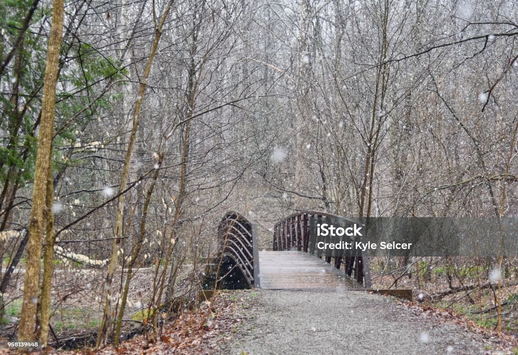 Bridge Snow Path Rustic Bridge On A Nature Path In A Snow Storm Stock Photo - Download ...