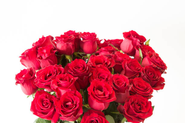 istock The beautiful red roses bouquet on isolate white background. 958140288