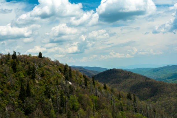 istock East Fork Alng the Blue Ridge Parkway 958147002