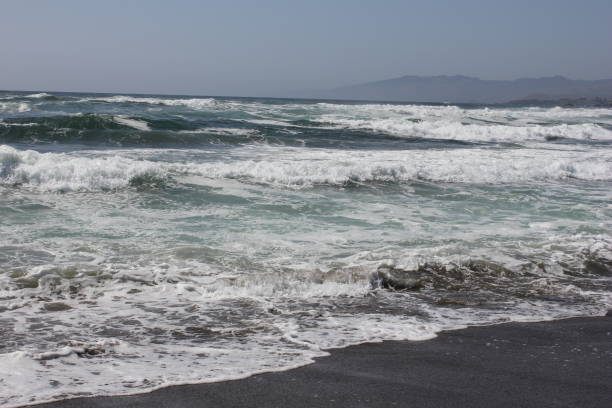 istock Goat Rock Beach is located between Goat Rock Point and the Russian River 958147130