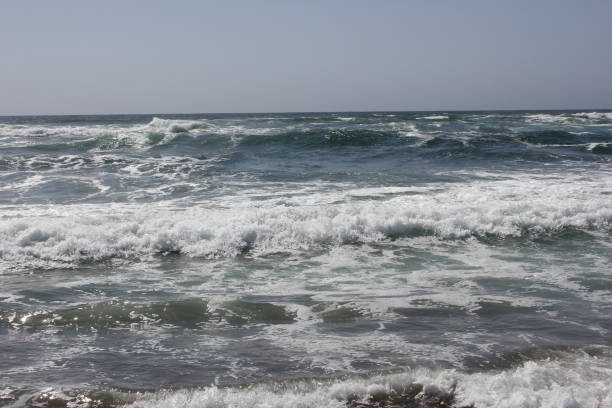 istock Goat Rock Beach is located between Goat Rock Point and the Russian River 958147142