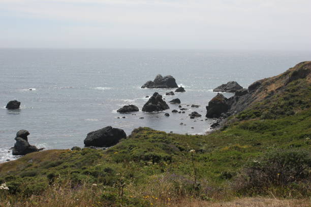 istock Goat Rock Beach is located between Goat Rock Point and the Russian River 958147262
