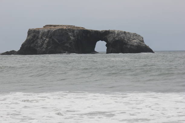 istock Goat Rock Beach is located between Goat Rock Point and the Russian River 958147324