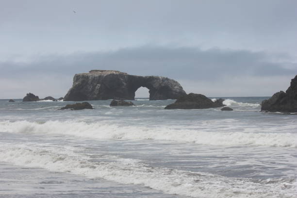 istock Goat Rock Beach is located between Goat Rock Point and the Russian River 958147434