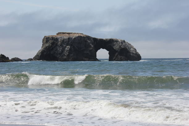 istock Goat Rock Beach is located between Goat Rock Point and the Russian River 958147462