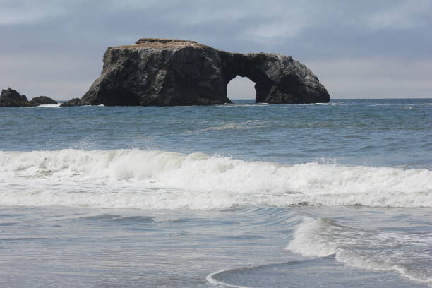 istock Goat Rock Beach is located between Goat Rock Point and the Russian River 958147500