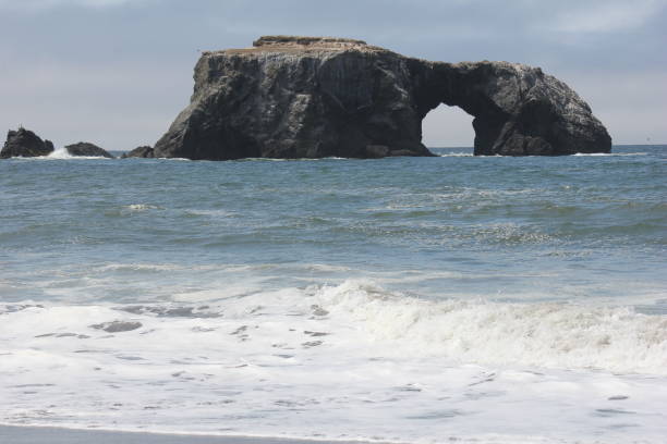 istock Goat Rock Beach is located between Goat Rock Point and the Russian River 958147504