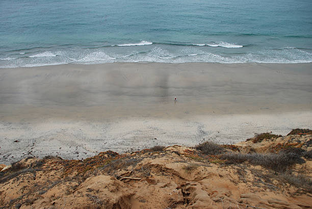 Beach at Torrey Pines State Reserve stock photo